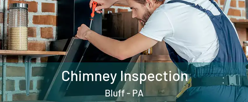 Chimney Inspection Bluff - PA