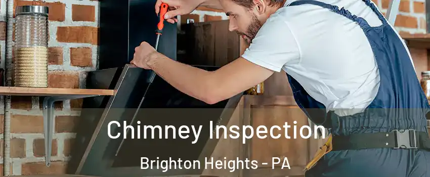 Chimney Inspection Brighton Heights - PA