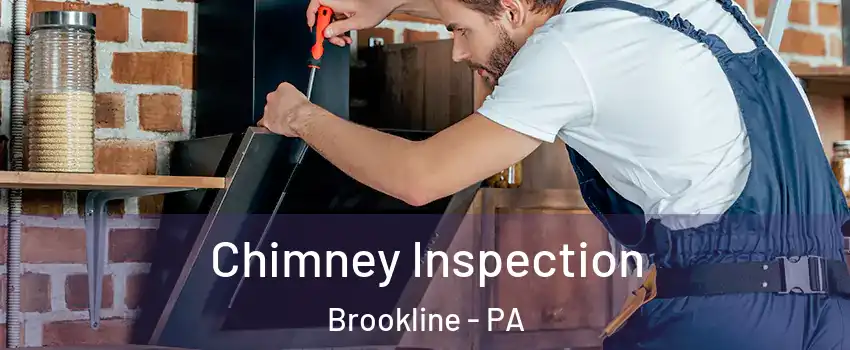 Chimney Inspection Brookline - PA