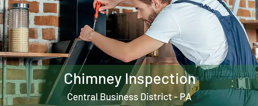 Chimney Inspection Central Business District - PA