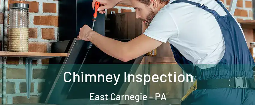 Chimney Inspection East Carnegie - PA