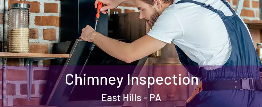 Chimney Inspection East Hills - PA