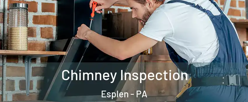 Chimney Inspection Esplen - PA