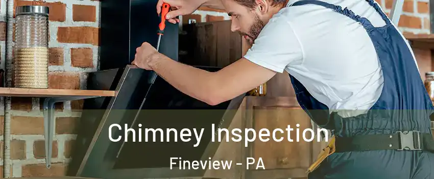 Chimney Inspection Fineview - PA