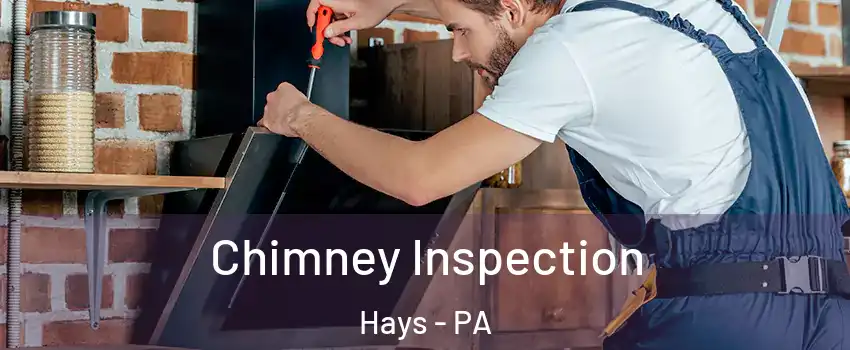 Chimney Inspection Hays - PA
