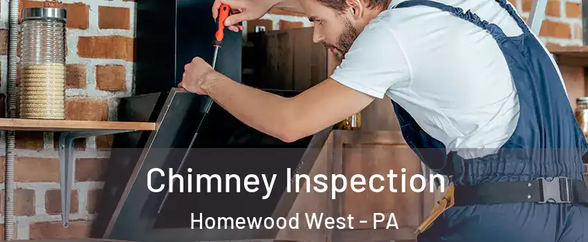 Chimney Inspection Homewood West - PA