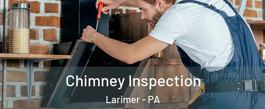 Chimney Inspection Larimer - PA