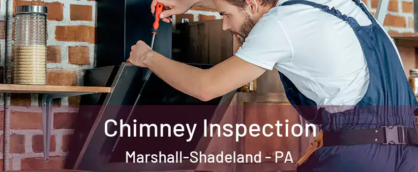 Chimney Inspection Marshall-Shadeland - PA