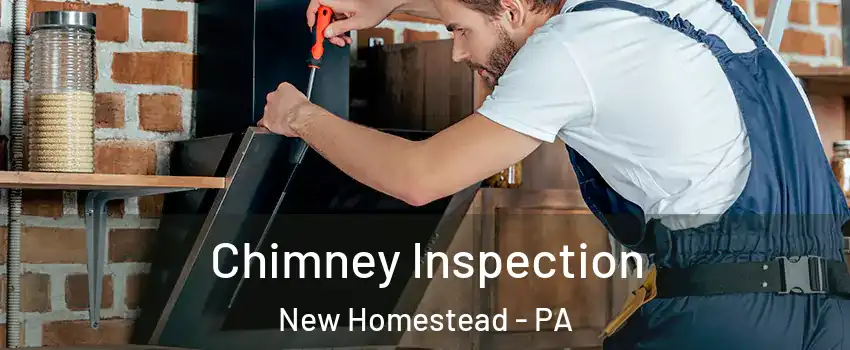 Chimney Inspection New Homestead - PA
