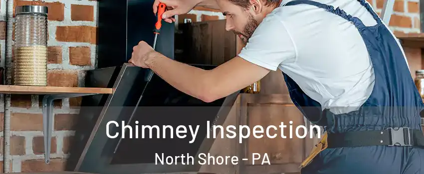 Chimney Inspection North Shore - PA