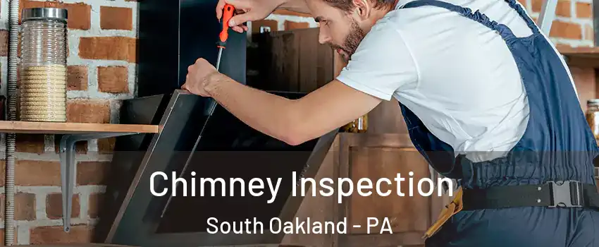 Chimney Inspection South Oakland - PA
