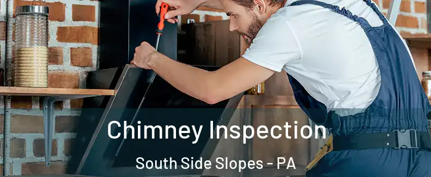 Chimney Inspection South Side Slopes - PA