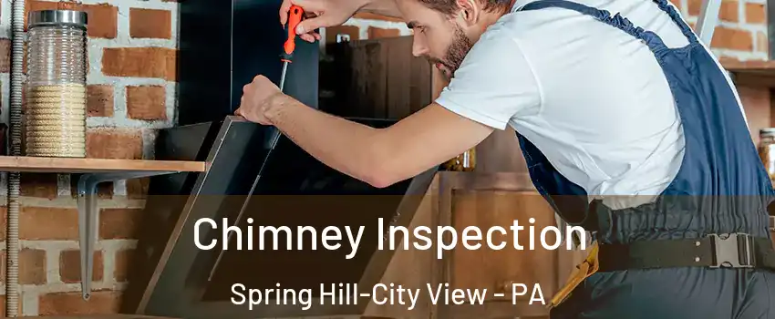 Chimney Inspection Spring Hill-City View - PA