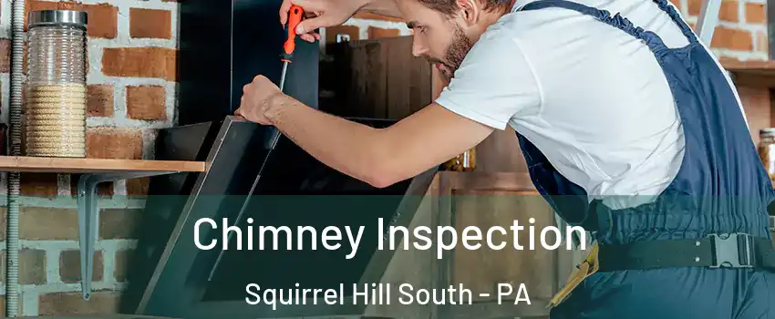 Chimney Inspection Squirrel Hill South - PA