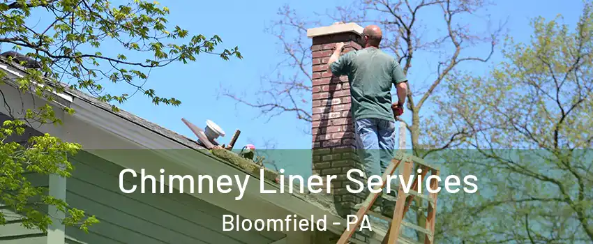 Chimney Liner Services Bloomfield - PA
