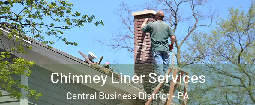 Chimney Liner Services Central Business District - PA