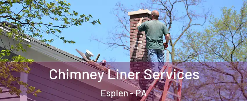 Chimney Liner Services Esplen - PA