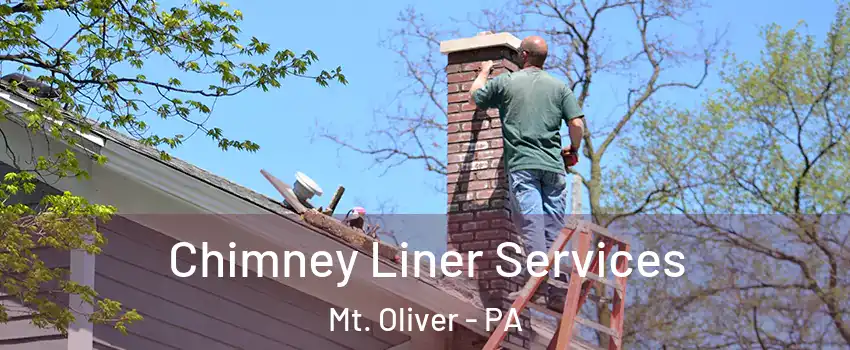 Chimney Liner Services Mt. Oliver - PA