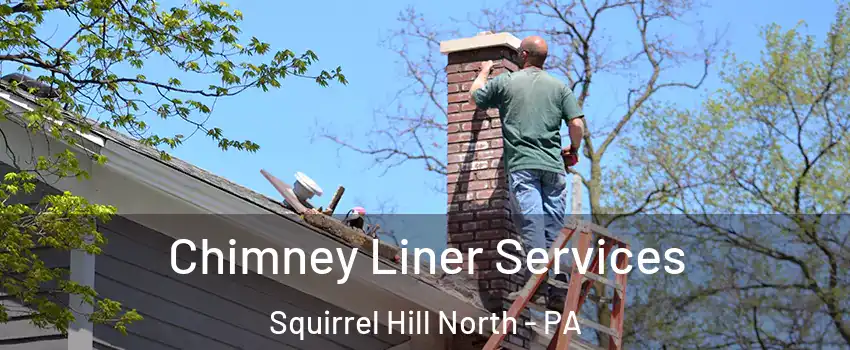 Chimney Liner Services Squirrel Hill North - PA