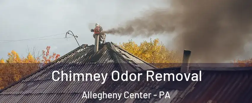 Chimney Odor Removal Allegheny Center - PA