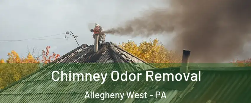 Chimney Odor Removal Allegheny West - PA