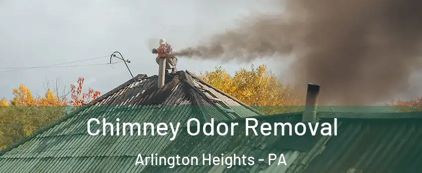 Chimney Odor Removal Arlington Heights - PA
