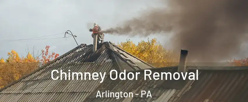 Chimney Odor Removal Arlington - PA