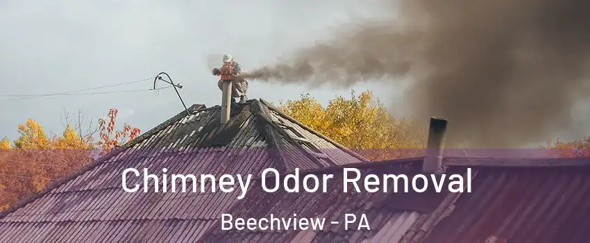 Chimney Odor Removal Beechview - PA