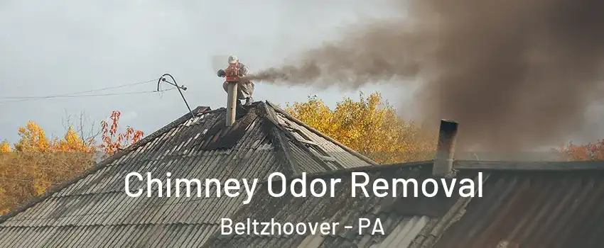 Chimney Odor Removal Beltzhoover - PA