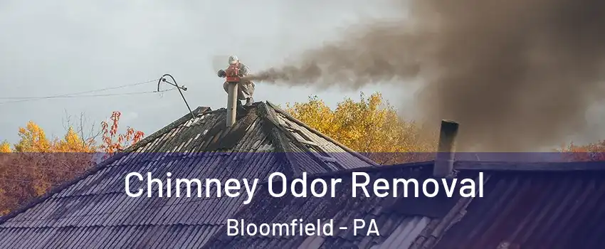 Chimney Odor Removal Bloomfield - PA