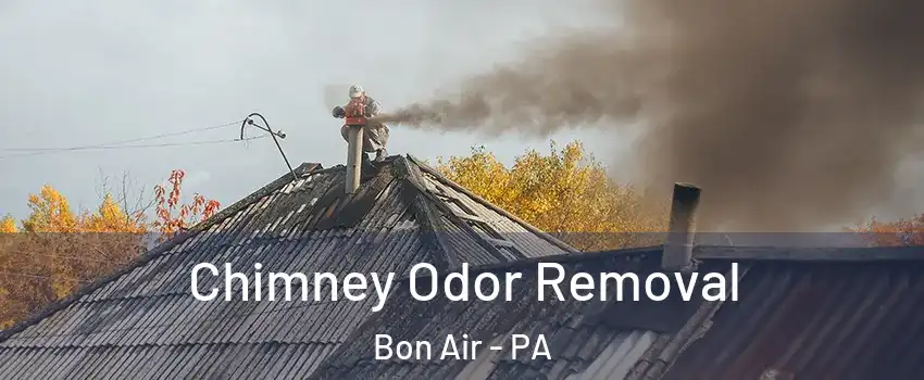 Chimney Odor Removal Bon Air - PA