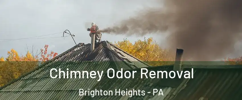 Chimney Odor Removal Brighton Heights - PA