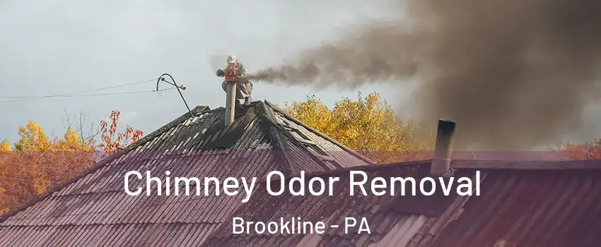 Chimney Odor Removal Brookline - PA