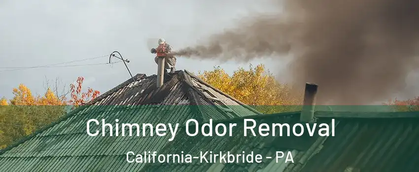 Chimney Odor Removal California-Kirkbride - PA