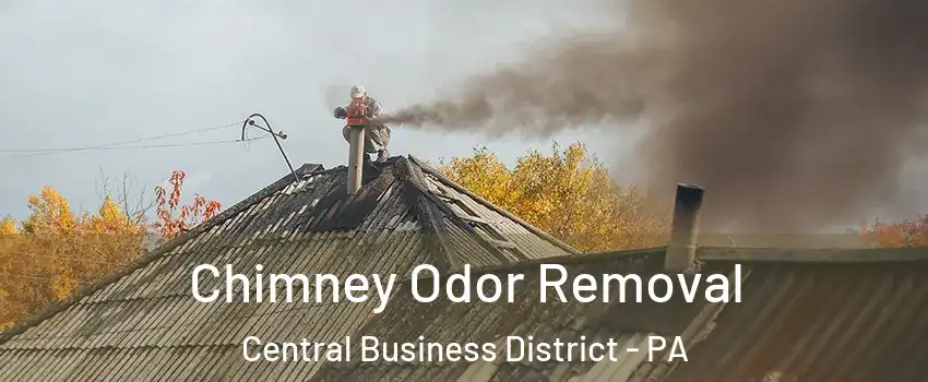 Chimney Odor Removal Central Business District - PA