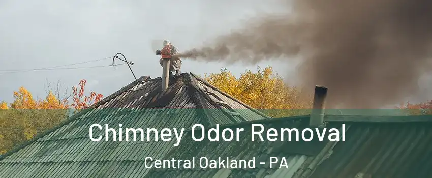Chimney Odor Removal Central Oakland - PA