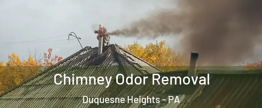 Chimney Odor Removal Duquesne Heights - PA