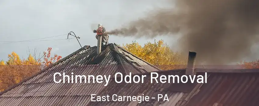 Chimney Odor Removal East Carnegie - PA
