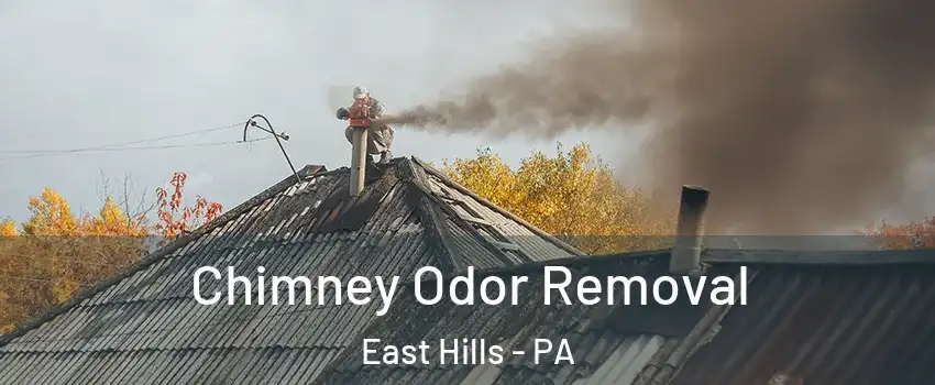 Chimney Odor Removal East Hills - PA