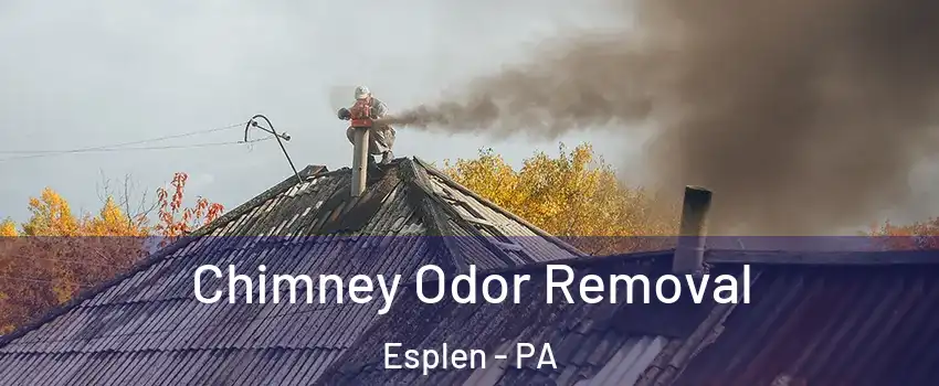 Chimney Odor Removal Esplen - PA