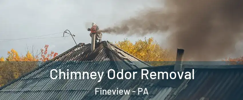 Chimney Odor Removal Fineview - PA