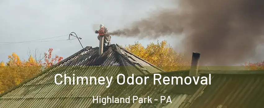 Chimney Odor Removal Highland Park - PA