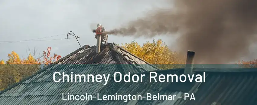 Chimney Odor Removal Lincoln-Lemington-Belmar - PA