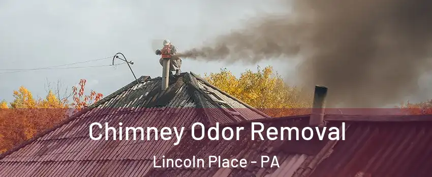 Chimney Odor Removal Lincoln Place - PA
