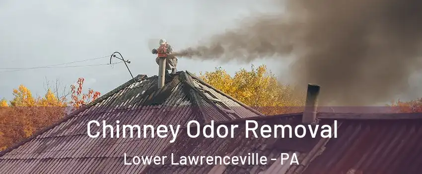 Chimney Odor Removal Lower Lawrenceville - PA