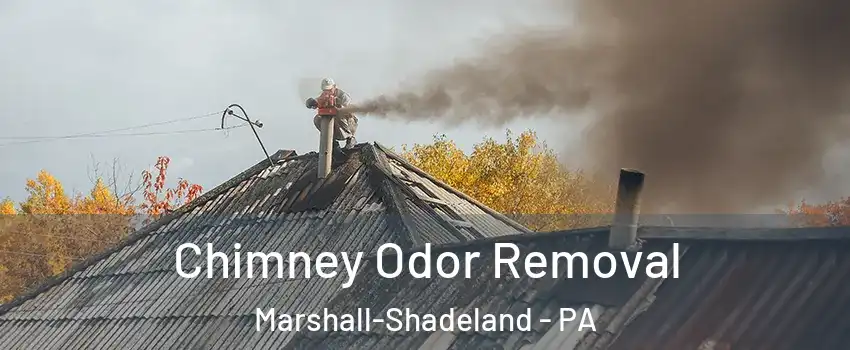 Chimney Odor Removal Marshall-Shadeland - PA