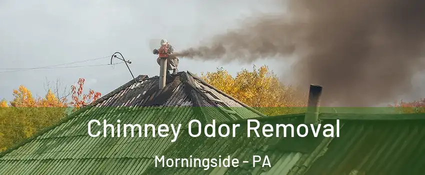 Chimney Odor Removal Morningside - PA