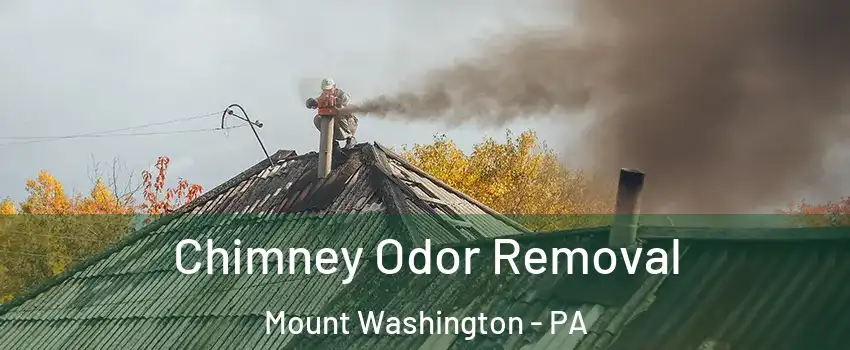 Chimney Odor Removal Mount Washington - PA
