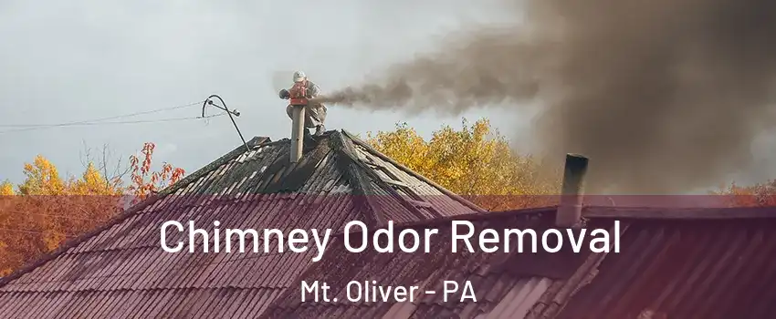 Chimney Odor Removal Mt. Oliver - PA