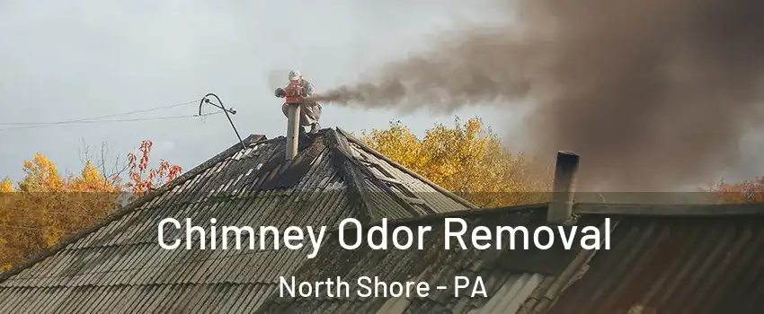Chimney Odor Removal North Shore - PA